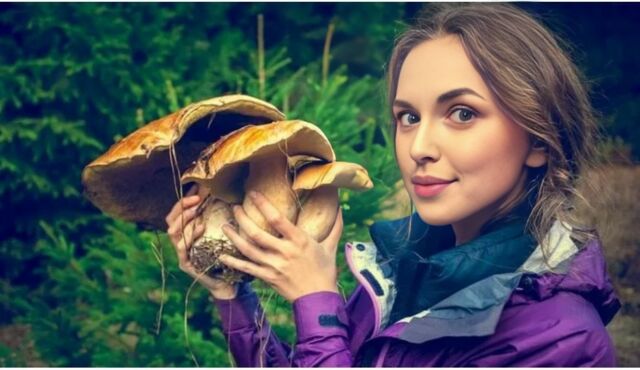 улыбающаяся женщина с корзинкой грибов