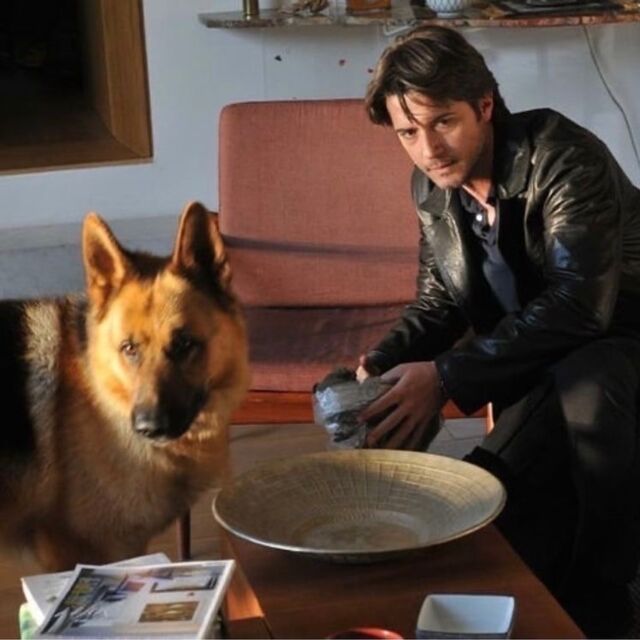 Комиссар рекс 18. Комиссар рекс 2015. Гедеон буркхард и рекс. Франческо арка комиссар рекс. Тобиас моретти комиссар рекс.